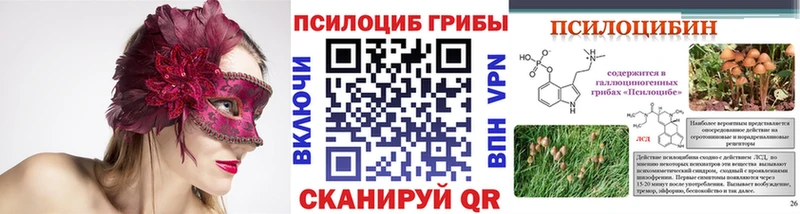 Купить  Липецк  Псилоцибиновые грибы Psilocybe 